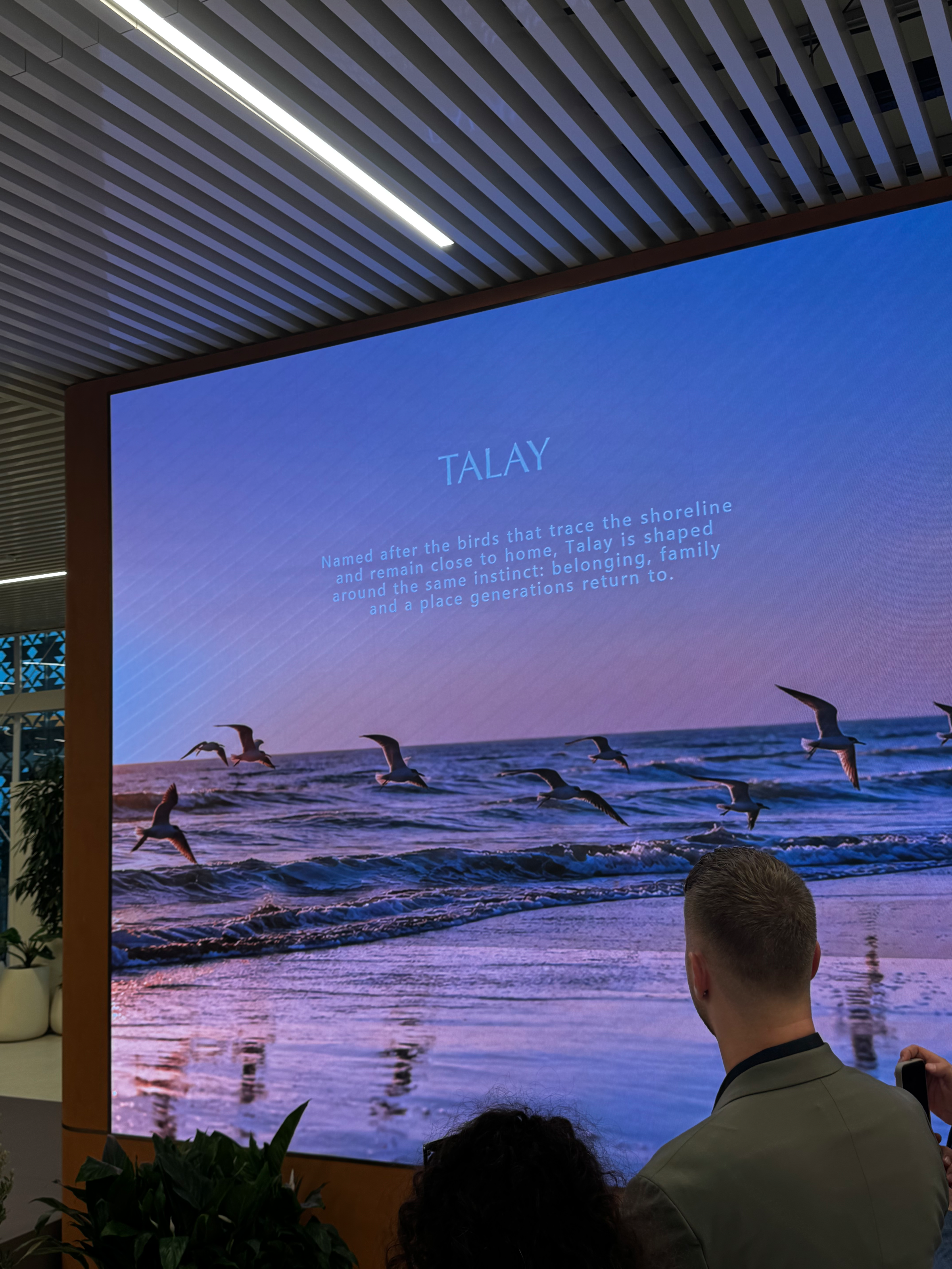 Talay the new launch in Marsa Al Saadiyat